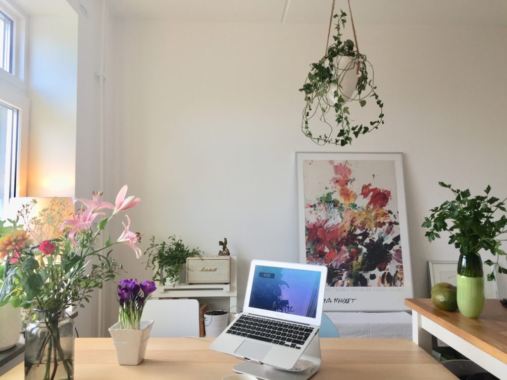 Online Class Setup for Secret Chilli Club